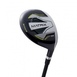 WilsonMatrixEvolveSteel