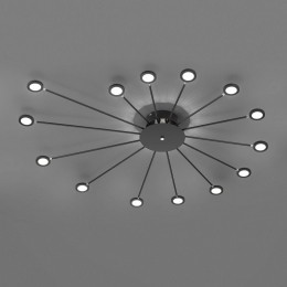 TrioLightingLEDplafondlampPeacock15-lampszwart