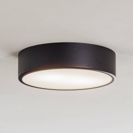 TEMARLIGHTINGPlafondlampCleo30cmIP20zwartmetaalE27