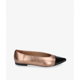 BallerinasBloomampYouALLEGRA