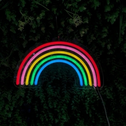 LEDNeonBordRegenboogInclAdapter30x17cmMulticolor