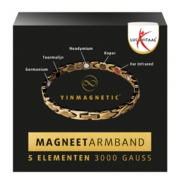 LucovitaalYinmagneticMagneetArmbandGoud