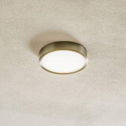 ORIONBullyLEDplafondlampmatnikkel14cm