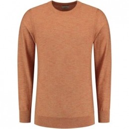 SweaterDstrezzedMercuryCrewTruiOranje