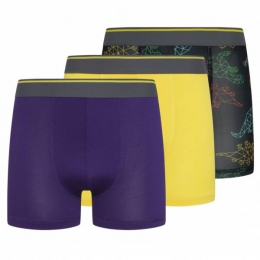 ParkerFoxPrestatiesKinderenBoxershort3-pakPRXFA24B151642-014