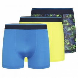 ParkerFoxPrestatiesKinderenBoxershort3-pakPRXFA24B151642-463