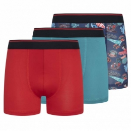 ParkerFoxPrestatiesKinderenBoxershort3-pakPRXFA24B151643-604