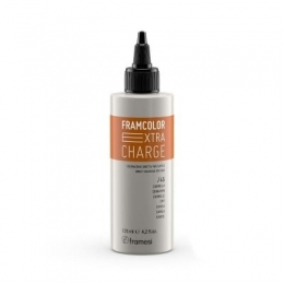 FramesiExtraChargeCinnamon125ml
