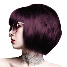 CrazyColorAubergine100ml