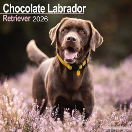 Kalender2026LabradorRetrieverbruin