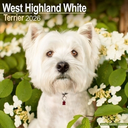 Kalender2026Westie