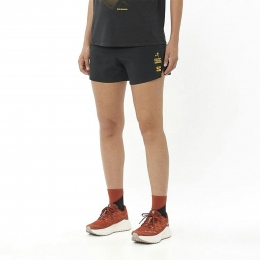 SalomonShakeoutCoreGTS4InchShortsDames