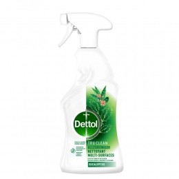 DettolAllesreinigerSprayEucalyptus500ml