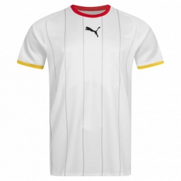 DHBDuitslandPUMAHerenThuisshirt768117-01