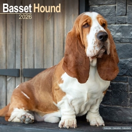 Kalender2026Basset