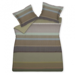 VandyckdashymultiDekbedovertrek