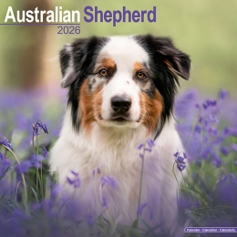 Kalender2026AustralianShepherd