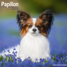 Kalender2026Papillon