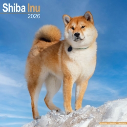 Kalender2026ShibaInu