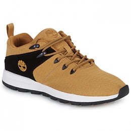LageSneakersTimberlandSPRINTTREKRLOWKNIT