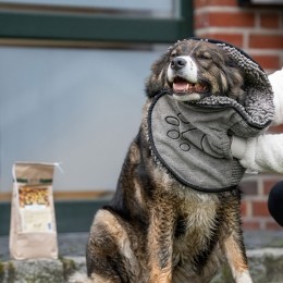DGSHondenhanddoekDirtyDogShammygrijs