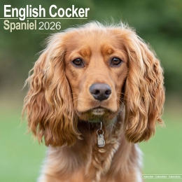 Kalender2026CockerSpaniel