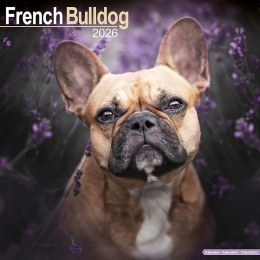 Kalender2026FranseBulldog