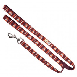 WOOLLYWOLFHondenriemExplorerpaars-oranje-munt