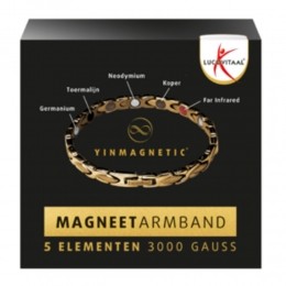 LucovitaalYinmagneticMagneetArmbandGoud
