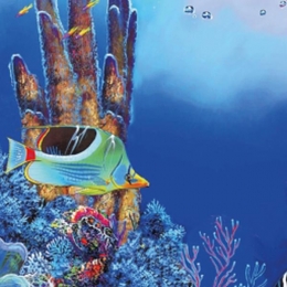 Sfdecoposterf5120x61cmSuperfish-Superfish