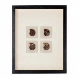 DecoratiefwandobjectValuableI41cmx51cmDecorationable