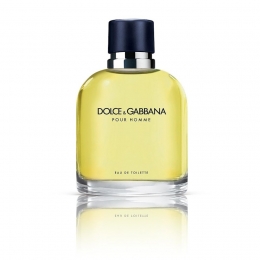 DolceGabbanaPourHomme