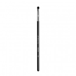 SigmaE21Smudge