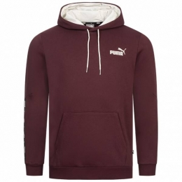 PUMAEssentialsTapeHerenHoody849040-42