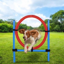 maxxproBehendigheidSpringRing-SetBehendigheidvoorhonden47433