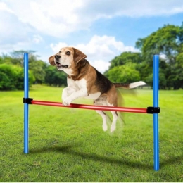 maxxproBehendigheidSpringStick-SetBehendigheidvoorhonden47432