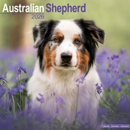 Kalender2026AustralianShepherd