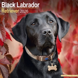 Kalender2026LabradorRetrieverzwart