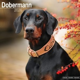 Kalender2026Dobermann