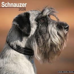 Kalender2026Schnauzer