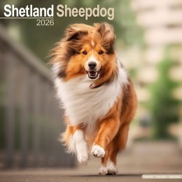 Kalender2026Sheltie