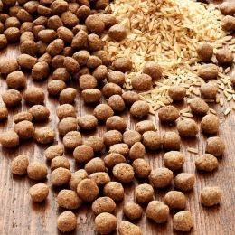alsa-natureINSECTUMRijst12kg