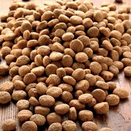 alsa-natureLightSpeciaalEiwit2x12kg