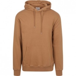 SweaterColorfulStandardOrganicHoodieBruin