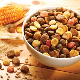 alsa-natureLamRijstbrokken12kg