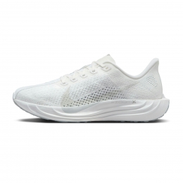 NikePegasusPlusdames
