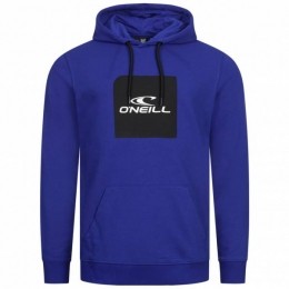 ONEILLCubeHoodieHerenHoody2750012-15013