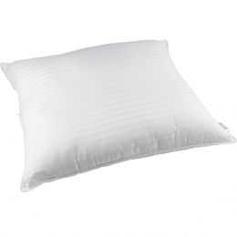 Livkussen60x70