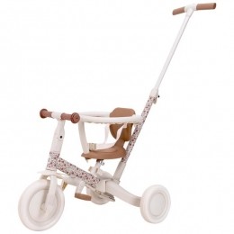 LittleDutch4in1twee-endriewielerfiets