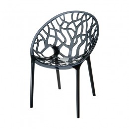 TuinstoelCrystalzwarttransparantkunststof